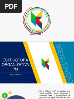 Estructura Organizativa PM