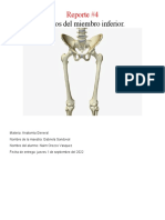 Reporte 4 Anatomia General