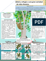 Proyecto Manglar Infografía