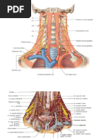 Cervicalgias Umf