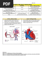 The Fetal and Adult Circulation