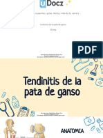 Tendinitis de La Pata de Ganso 321815 Downloable 559827