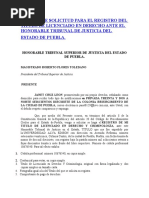 Modelo de Solicitud para El Registro Del Titulo de Licenciado en Derecho Ante El Honorable Tribunal de Justicia Del Estado de Puebla