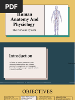 Human Anatomy and Physiology