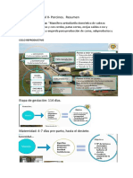 1 21-03, Resumen, Instalaciones, Requerimientos Termicos, Manejo en Bandas