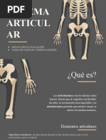 Sistema Articular