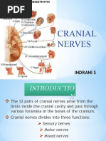 Cranial Nerves 