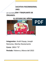 ANAHÍ KAYAP-Informe de La Donación y Trasplante de Órganos. 1BGU