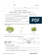 Examen Las Plantas Natu