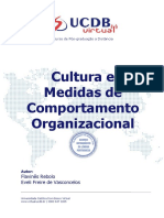 Cultura e Medidas Do Comportamento Organizacional