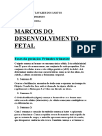 Marcos Do Desenvolvimento Fetal