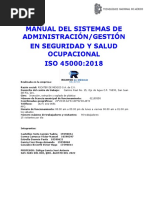 Manual de Sistemas de Gestion de SyST