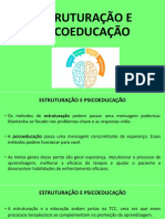 Aula 5 Estruturação e Psicoeducação