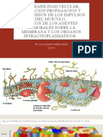 Permeabilidad Celular