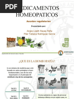 Medicamentos Homeopáticos