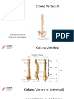 Coluna Vertebral Aula