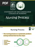 Topic 2 - Nursing Process