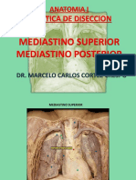 Mediastino Superior y Posterior - Dr. M. Cortez