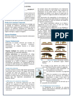 La Evolución para Quinto Grado de Secundaria