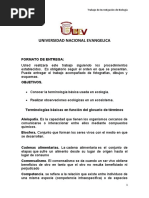 TRABAJO DE INVESTIGACION HOMERO (Keila Belliard) 1A