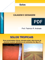 Aula 9 - Calagem e Gessagem