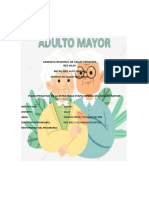 Plan Operativo Adulto Mayor