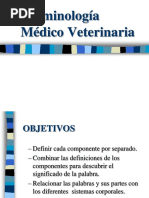 Terminologia Medico Veterinaria