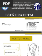 Estatica Fetal