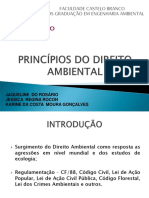 Principios Do Direito Ambiental