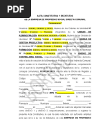 Modelo Acta Constitutiva y Estatutos Epsdc