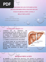 Metabolismo de Los Contaminantes (Biotransformación), Fijación