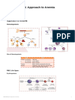 MEDSEM2LE4 Approach To Anemia