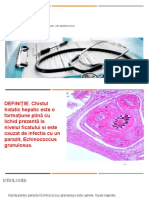 Chist Hidatic Hepatic