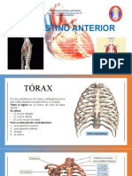 Mediastino Anterior