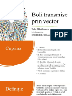 Boli Transmise Prin Vector