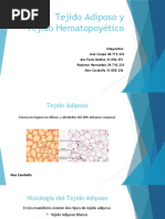 Tejido Adiposo y Hematopoyetico