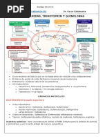 Sulfonamidas, Trimetoprim y Quinolonas