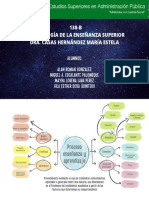 Mapa Mental Proceso de Enseñanza y Aprendizaje