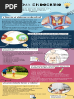 Infografía de Sistema Endocríno - F3