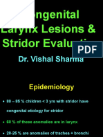 12 Congenital Lesions of Larynx and Evaluation of Stridor