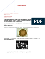 CISTISCERCOSIS