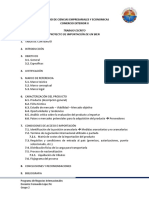 TRABAJO FINAL Comercio Exterior II - Importación de Un Bien V4