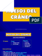 Huesos Del Cráneo Ii