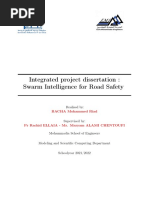 Rapport PFA - Swarm Intelligence For Road Safety