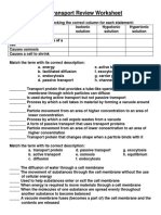 Cell Transport Worksheet