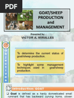 Goat or Sheep Production and Management