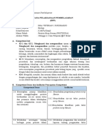 RPP Protista Mirip Hewan (Protozoa)