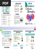 Calculos Renales Guía de Alimentación