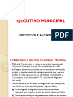 5 Ejecutivo Municipal