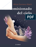 El Comisionado Del Cielo